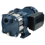 EBARA Domestic Bare Pump AM10